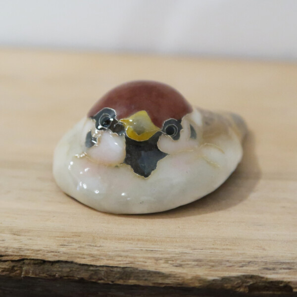 雀 No.5